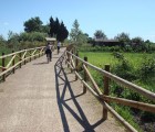 Camíno de Sirga del Delta del Ebro